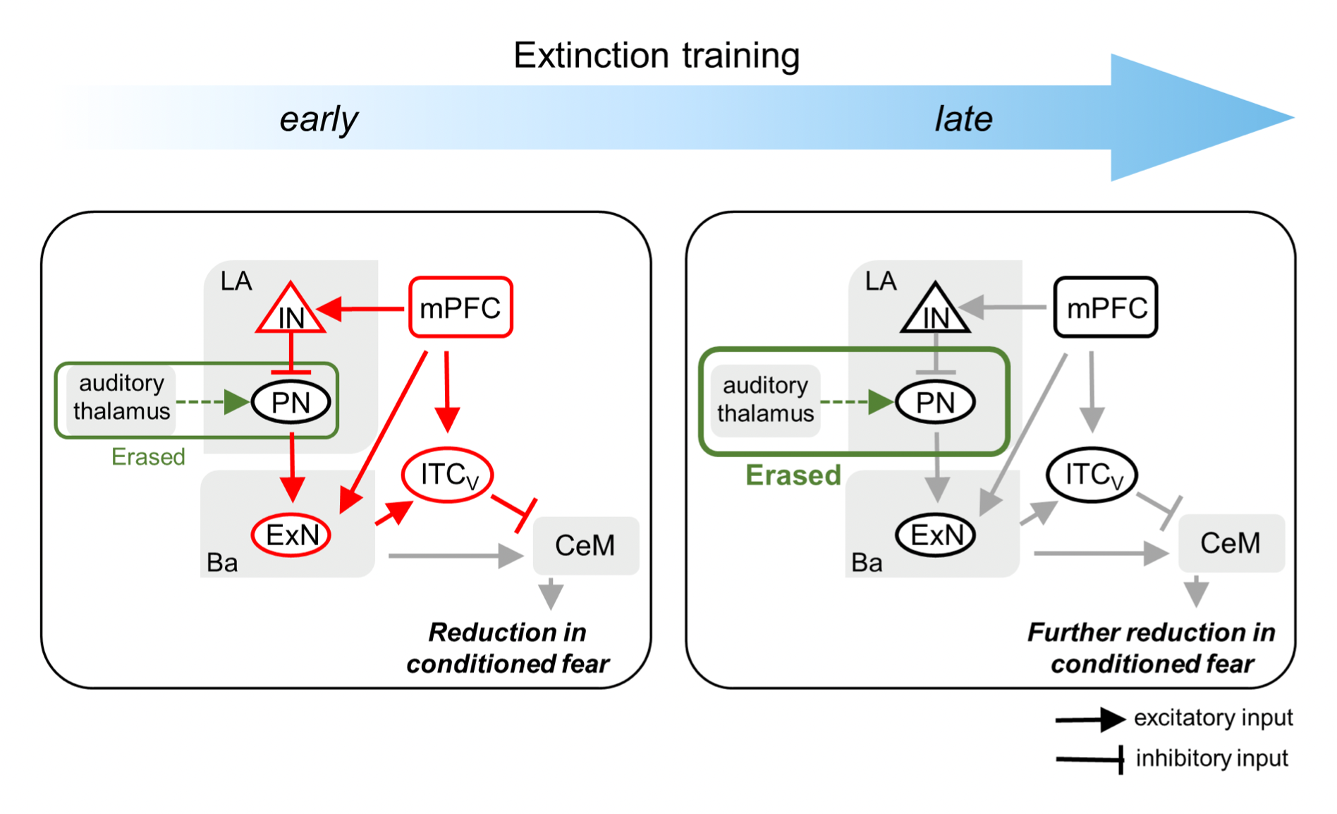 Amount Of Fear Extinction Changes Its Underlying Mechanisms Jacks Space