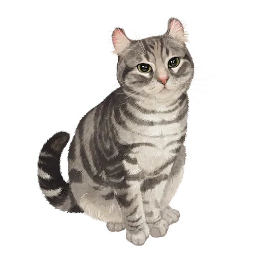 咪咪