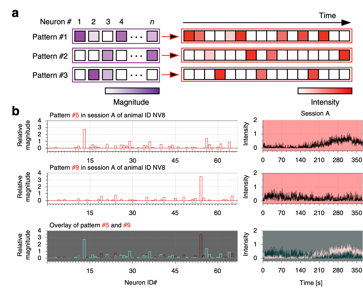 Orchestrated ensemble activities constitute a hippocampal memory engram ...